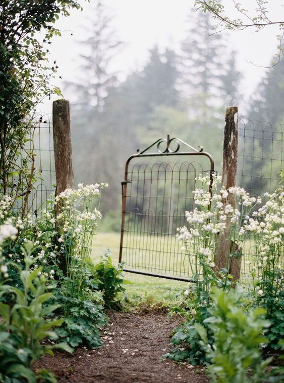 les bonnes pratiques astuces naturelles au jardin