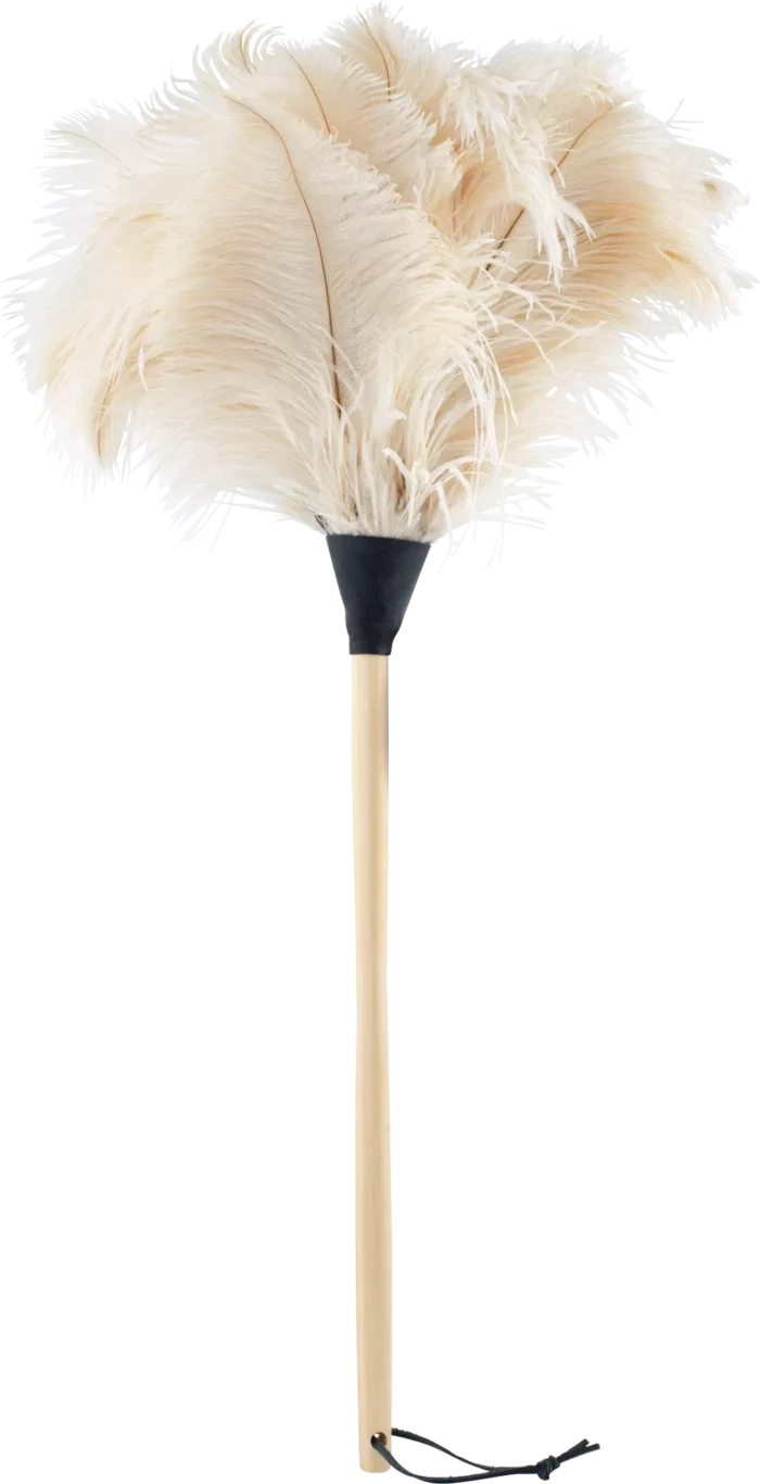 Sitemapcdatahttpwwwinfbizidlampe Plume D Autruchenull